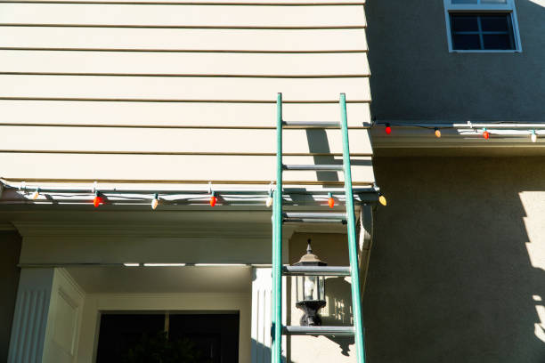 Best Custom Siding Design  in South Alamo, TX